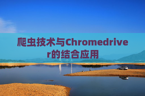爬虫技术与Chromedriver的结合应用