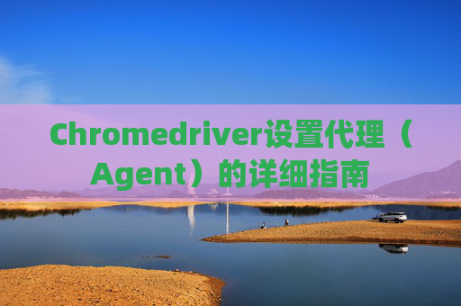 Chromedriver设置代理（Agent）的详细指南
